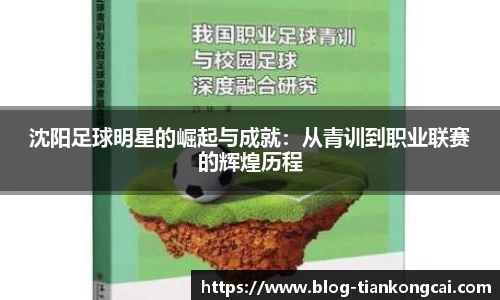沈阳足球明星的崛起与成就:从青训到职业联赛的辉煌历程